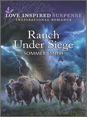 Ranch Under Siege - ebook